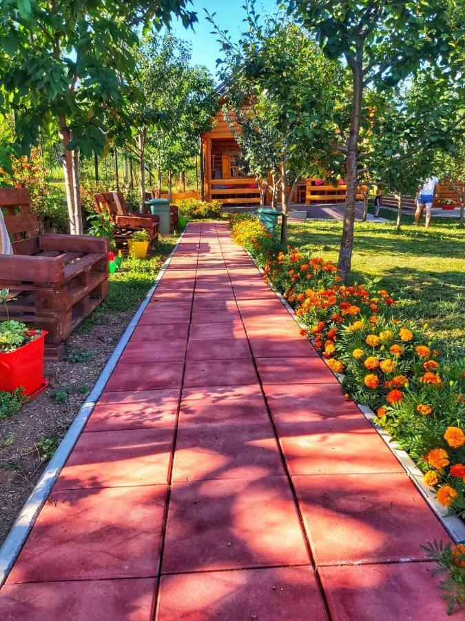 Holiday Bungalows & Food Plav Kültér fotó